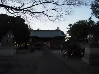 島田八坂神社の本殿・本堂
