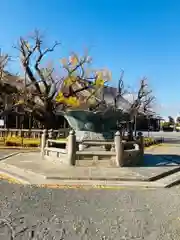 本願寺（西本願寺）の建物その他