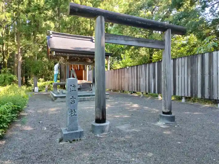 白山比咩神社の{uncategorized: "未分類", other: "その他", undefined: "問題あり", building: "その他建物", grave: "お墓", sacred_gate: "鳥居", guardian: "狛犬", statue: "像", buddha: "仏像", history: "歴史", nature: "自然", garden: "庭園", animal: "動物", pagoda: "塔", temizu: "手水舎", mountain_gate: "山門・神門", sanctuary: "本殿・本堂", subordinate: "末社・摂社", art: "芸術", scenery: "景色", jizo: "地蔵", ema: "絵馬", goshuin: "御朱印", omikuji: "おみくじ", items: "授与品その他", amulet: "お守り", goshuincho: "御朱印帳", eats: "食事", festival: "お祭り", votive_dance: "神楽", shichigosan: "七五三参", wedding: "結婚式", experience: "体験その他", initially: "初詣", around: "周辺", anti_infection: "感染症対策"}