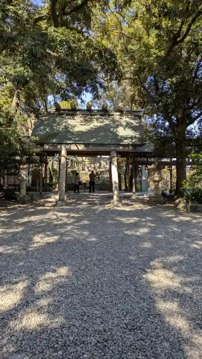川越氷川神社(埼玉県)