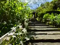 明月院(神奈川県)