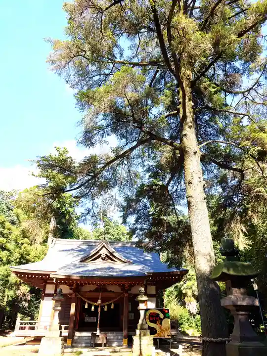 大宮住吉神社(埼玉県)