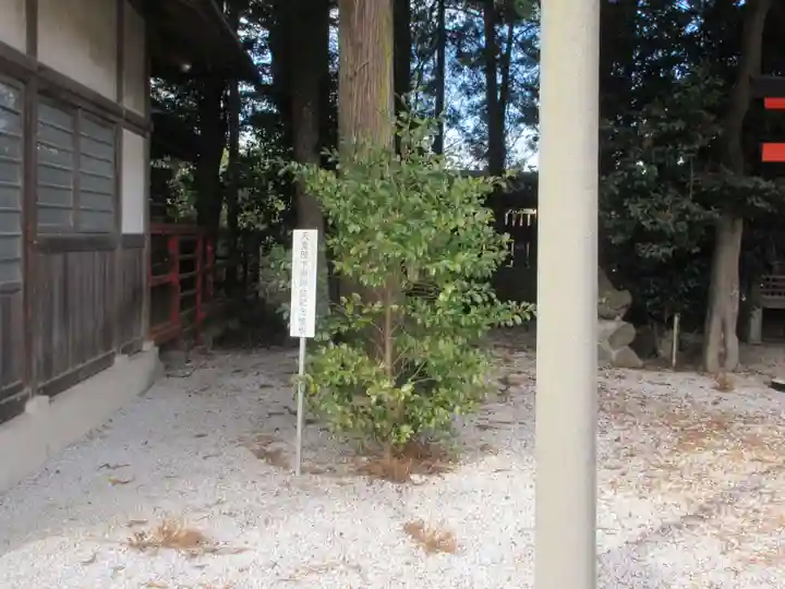 椿森諏訪神社(埼玉県)