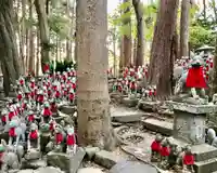 豊川閣 妙厳寺の狛犬