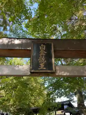白金龍王社(愛知県)
