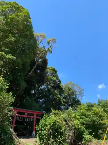 大國主神社の鳥居