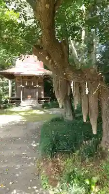 東征神社の自然