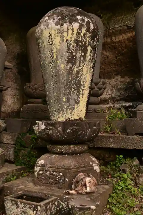 釋尊寺(長野県)