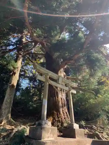 妙見神社の鳥居