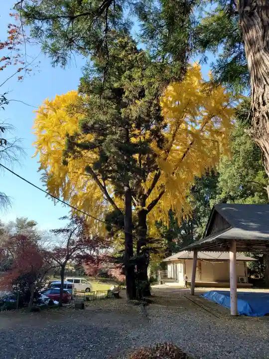間々田八幡宮(栃木県)