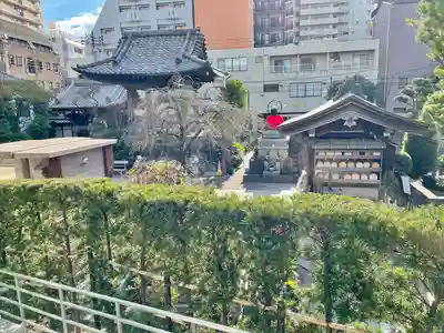 教安寺のその他建物