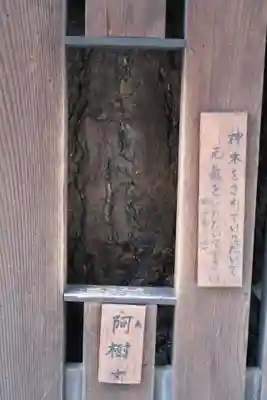 平等寺（因幡堂）(京都府)