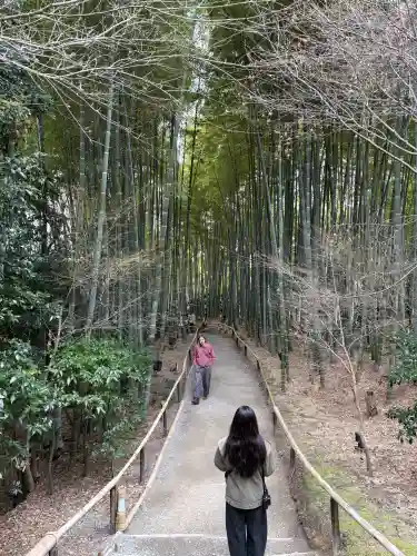 高台寺（高台寿聖禅寺・高臺寺）の{uncategorized: "未分類", other: "その他", undefined: "問題あり", building: "その他建物", grave: "お墓", sacred_gate: "鳥居", guardian: "狛犬", statue: "像", buddha: "仏像", history: "歴史", nature: "自然", garden: "庭園", animal: "動物", pagoda: "塔", temizu: "手水舎", mountain_gate: "山門・神門", sanctuary: "本殿・本堂", subordinate: "末社・摂社", art: "芸術", scenery: "景色", jizo: "地蔵", ema: "絵馬", goshuin: "御朱印", omikuji: "おみくじ", items: "授与品その他", amulet: "お守り", goshuincho: "御朱印帳", eats: "食事", festival: "お祭り", votive_dance: "神楽", shichigosan: "七五三参", wedding: "結婚式", experience: "体験その他", initially: "初詣", around: "周辺", anti_infection: "感染症対策"}