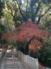 美具久留御魂神社(大阪府)