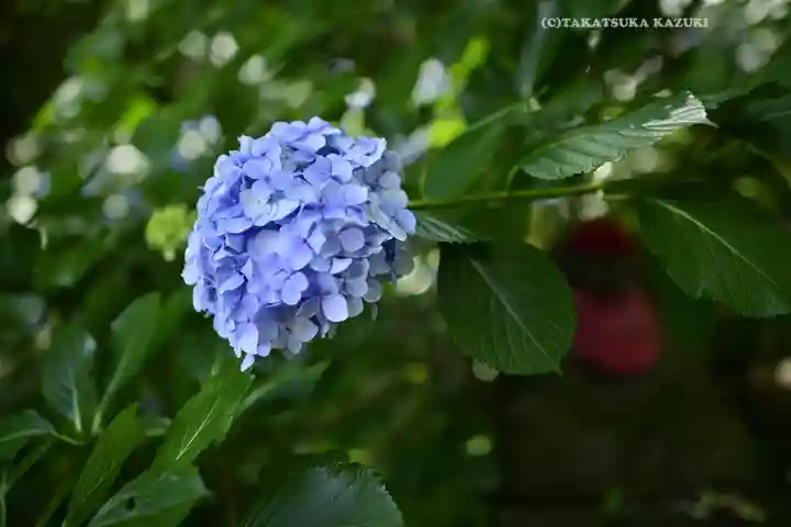 高幡不動尊 金剛寺(東京都)