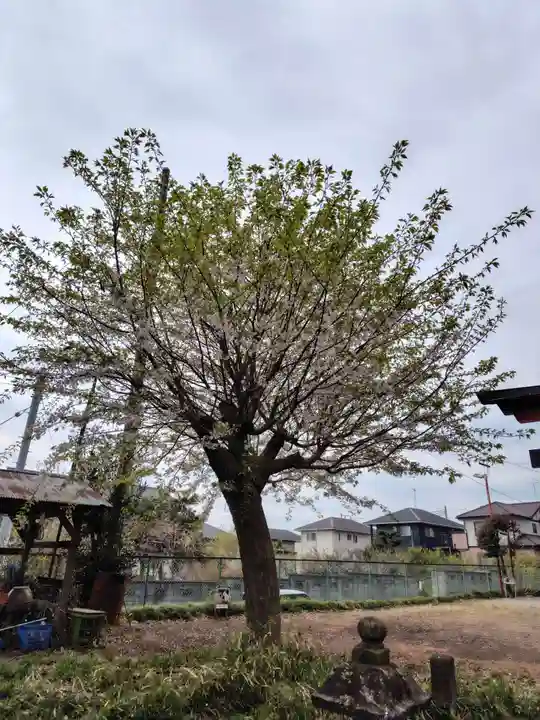 氷川神社(埼玉県)