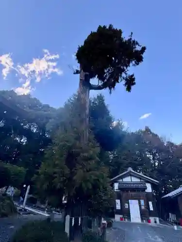 大野神社の{uncategorized: "未分類", other: "その他", undefined: "問題あり", building: "その他建物", grave: "お墓", sacred_gate: "鳥居", guardian: "狛犬", statue: "像", buddha: "仏像", history: "歴史", nature: "自然", garden: "庭園", animal: "動物", pagoda: "塔", temizu: "手水舎", mountain_gate: "山門・神門", sanctuary: "本殿・本堂", subordinate: "末社・摂社", art: "芸術", scenery: "景色", jizo: "地蔵", ema: "絵馬", goshuin: "御朱印", omikuji: "おみくじ", items: "授与品その他", amulet: "お守り", goshuincho: "御朱印帳", eats: "食事", festival: "お祭り", votive_dance: "神楽", shichigosan: "七五三参", wedding: "結婚式", experience: "体験その他", initially: "初詣", around: "周辺", anti_infection: "感染症対策"}