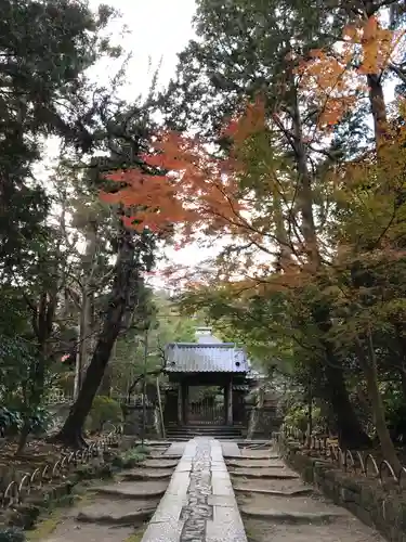 寿福寺の山門