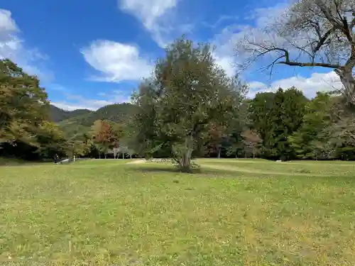 大覚寺(京都府)