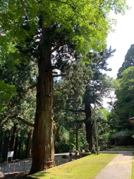 配志和神社の自然