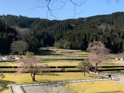 朝倉神社の庭園