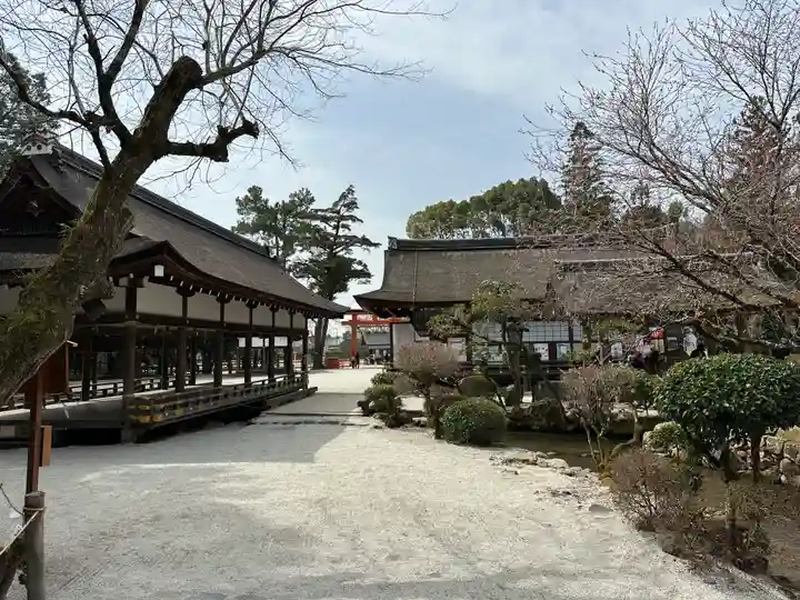 賀茂別雷神社(上賀茂神社)(京都府)