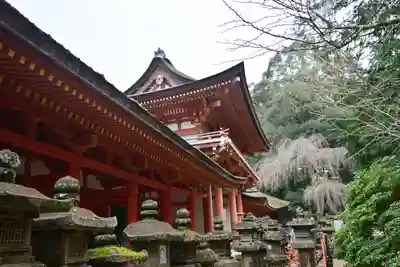 春日大社(奈良県)