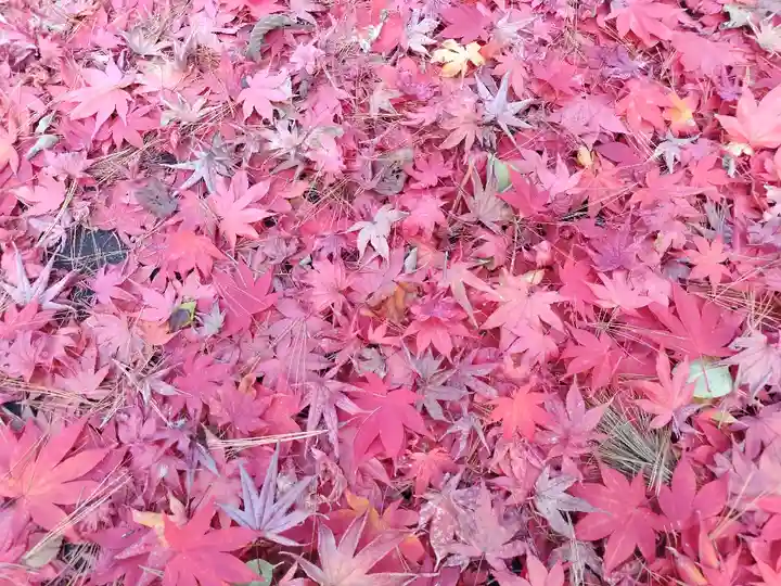 上川神社頓宮の自然