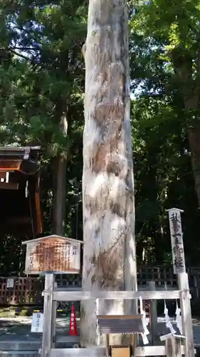 諏訪大社下社秋宮の自然