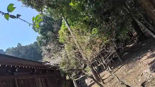 近江神宮(滋賀県)