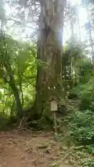 花園神社の自然