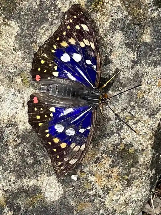 国宝 大法寺(長野県)