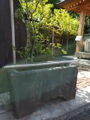 心月院の手水舎