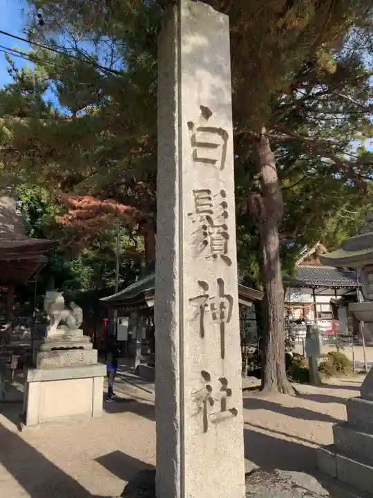 白鬚神社の狛犬