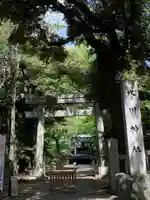 赤坂氷川神社の鳥居