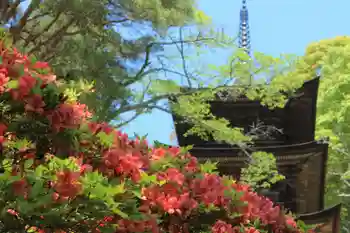 国宝 大法寺の御朱印