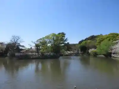 鶴岡八幡宮(神奈川県)