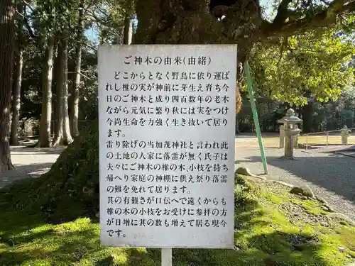 加茂神社(滋賀県)