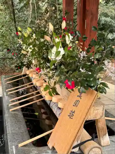 武蔵一宮氷川神社(埼玉県)
