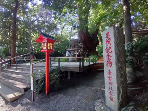 來宮神社(静岡県)