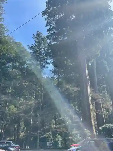 最乗寺（道了尊）(神奈川県)