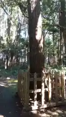 鹿嶋神社の建物その他