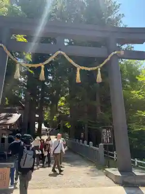 戸隠神社奥社(長野県)