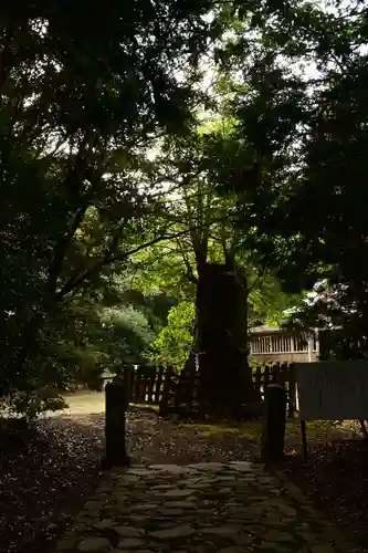 大元神社（宇佐神宮奥宮）(大分県)