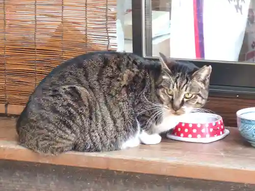 阿邪訶根神社(福島県)