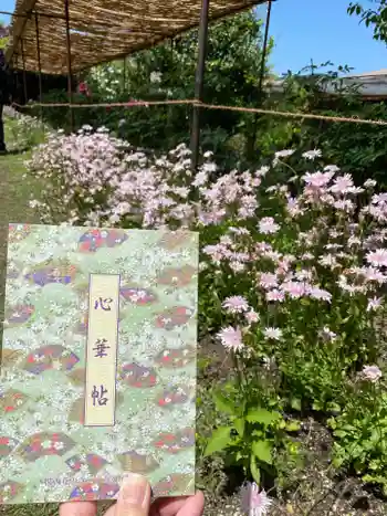 金剛寺の御朱印帳