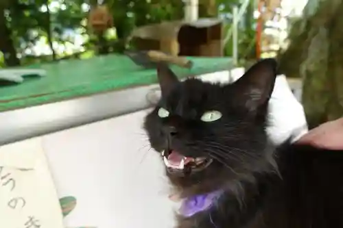 粉河産土神社（たのもしの宮）の動物