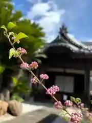 教信寺(兵庫県)