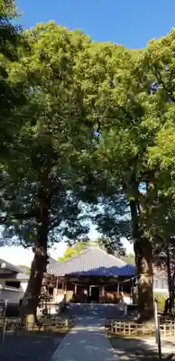 弘法寺の本殿・本堂