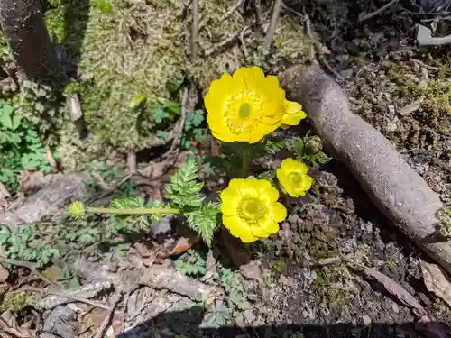 椿大神社(三重県)